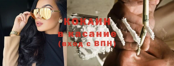 крисы Осинники