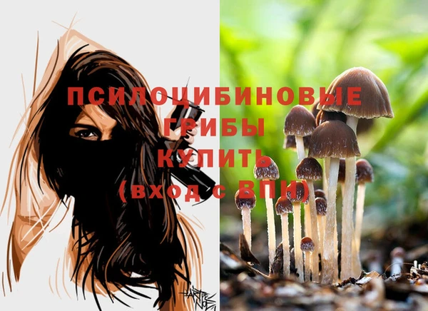 герыч Осташков