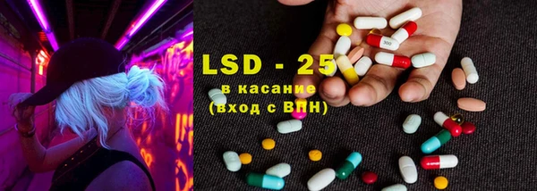 крисы Осинники