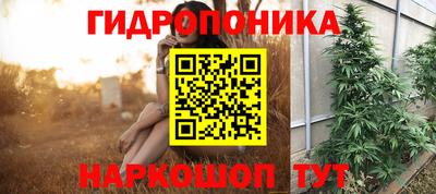 молекула духа Обь