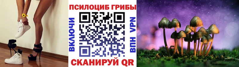 Галлюциногенные грибы мухоморы  купить закладку  Нижний Тагил 