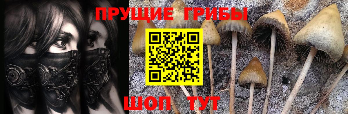 Псилоцибиновые грибы прущие грибы  Галлюциногенные грибы Psilocybine cubensis  Нижний Тагил  Вход с VPN 