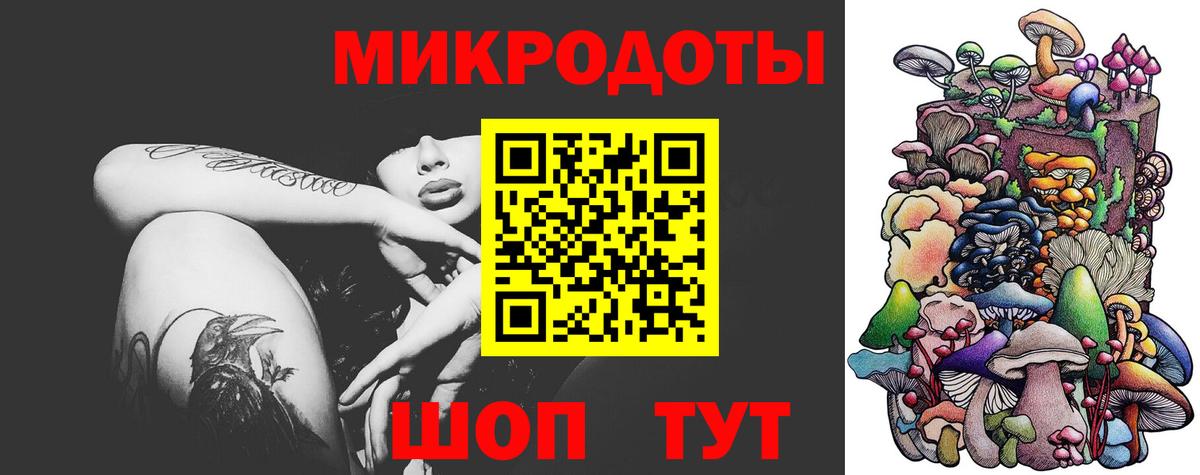 Псилоцибиновые грибы Psilocybe Нижний Тагил